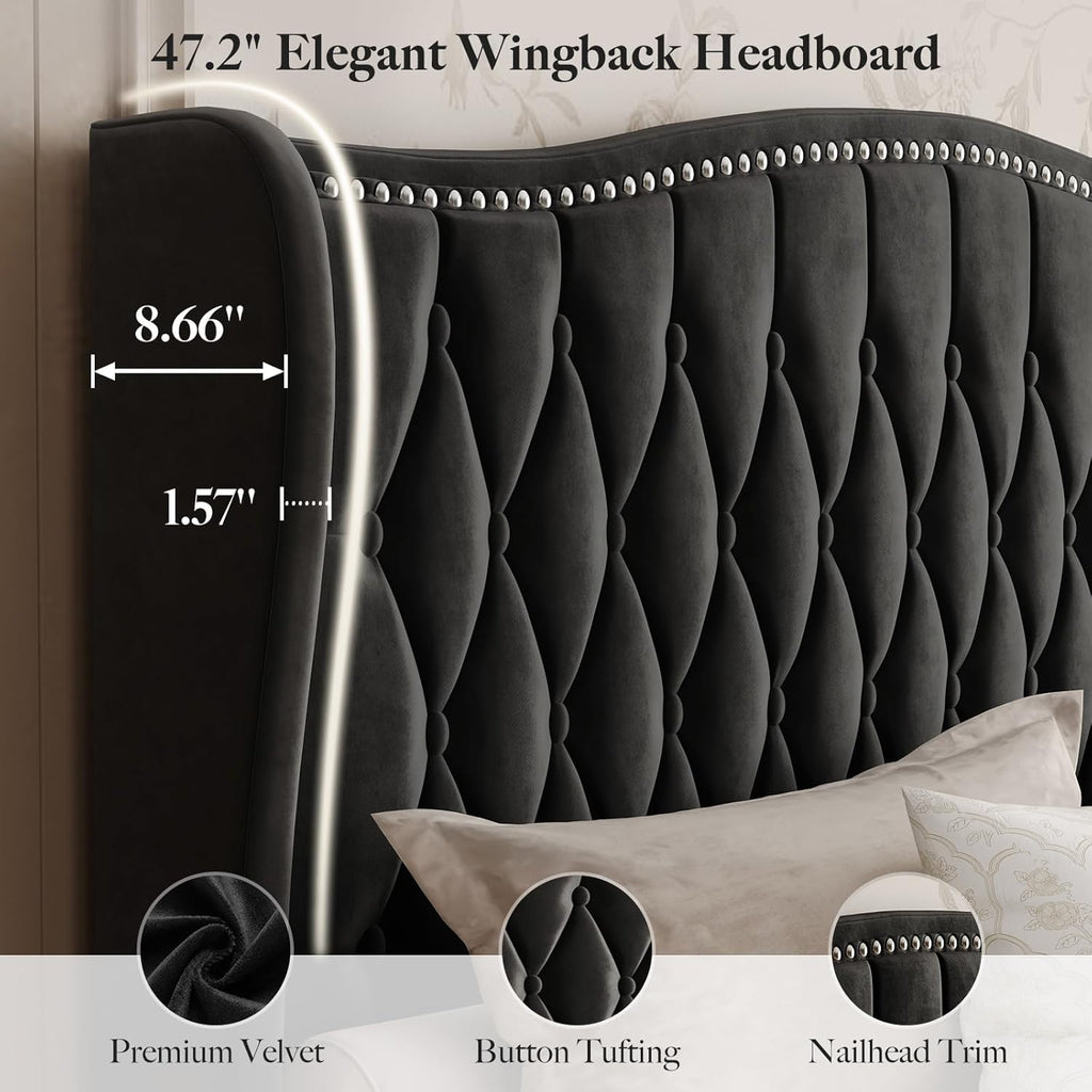 Belffin King Bed Frame and Headboard, Luxury Upholstered Velvet Platform Bed with Wingback, Button Tufted & Nailhead Trim, Anti-Slide Tall Footboard, No Box Spring Needed, Noise-Free, Black