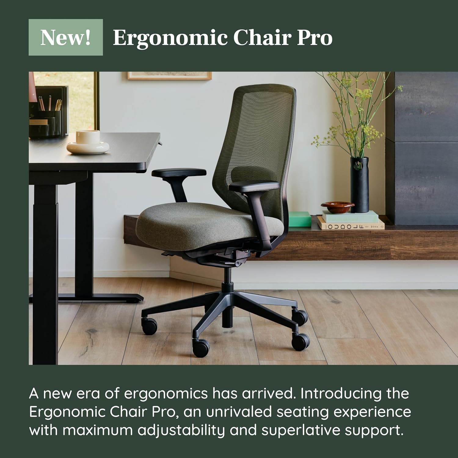 Branch Ergonomic Chair Pro - Mesh Office Chair with 14 Points of Adjustment - Height, Depth & Tilt Adjustable - 5D Armrests - Forward Tilt, Smooth Recline, and Lumbar Support - Everglade